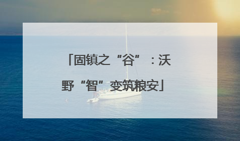 固镇之“谷”：沃野“智”变筑粮安
