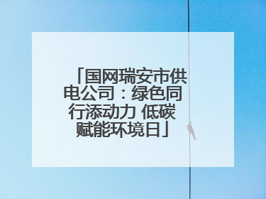 国网瑞安市供电公司：绿色同行添动力 低碳赋能环境日
