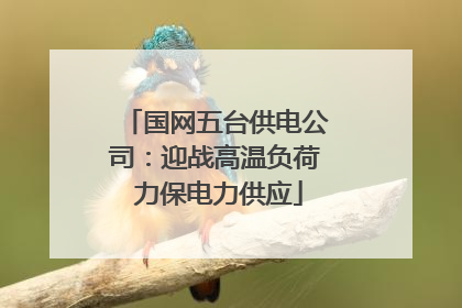 国网五台供电公司：迎战高温负荷 力保电力供应