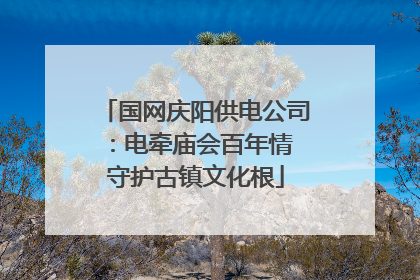 国网庆阳供电公司：电牵庙会百年情 守护古镇文化根