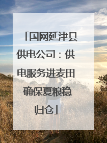 国网延津县供电公司：供电服务进麦田 确保夏粮稳归仓
