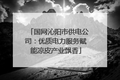 国网沁阳市供电公司：优质电力服务赋能凉皮产业飘香