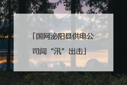 国网泌阳县供电公司闻“汛”出击