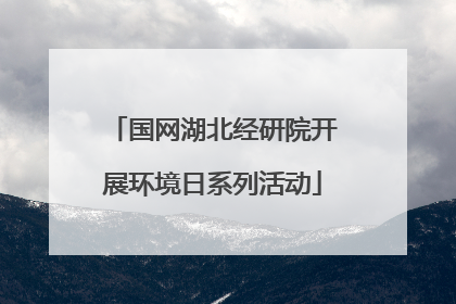 国网湖北经研院开展环境日系列活动