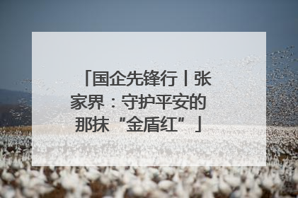 国企先锋行丨张家界：守护平安的那抹“金盾红”