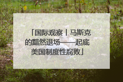 国际观察丨马斯克的黯然退场——起底美国制度性腐败