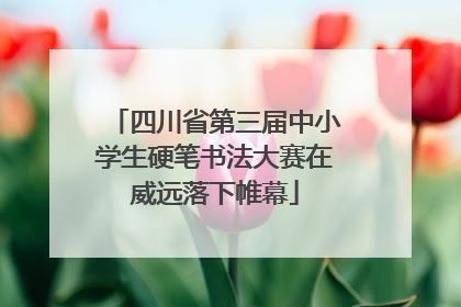 四川省第三届中小学生硬笔书法大赛在威远落下帷幕