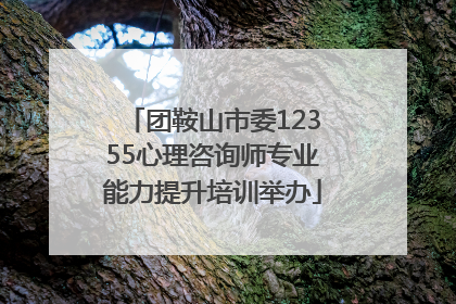 团鞍山市委12355心理咨询师专业能力提升培训举办