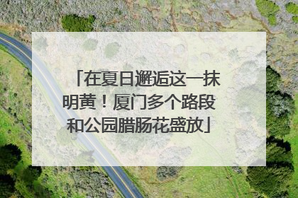 在夏日邂逅这一抹明黄！厦门多个路段和公园腊肠花盛放