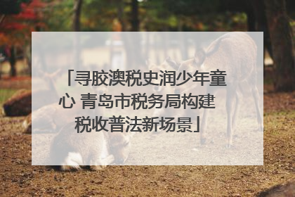寻胶澳税史润少年童心 青岛市税务局构建税收普法新场景