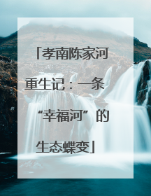 孝南陈家河重生记：一条“幸福河”的生态蝶变