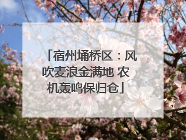 宿州埇桥区：风吹麦浪金满地 农机轰鸣保归仓