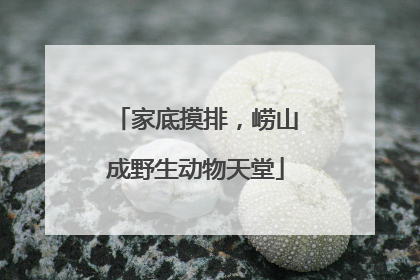 家底摸排，崂山成野生动物天堂