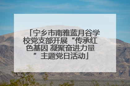 宁乡市南雅蓝月谷学校党支部开展“传承红色基因 凝聚奋进力量”主题党日活动