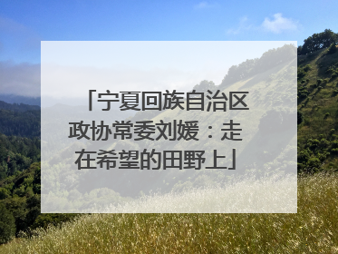 宁夏回族自治区政协常委刘媛：走在希望的田野上