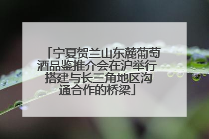 宁夏贺兰山东麓葡萄酒品鉴推介会在沪举行 搭建与长三角地区沟通合作的桥梁