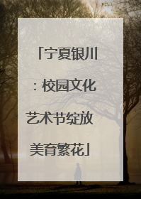 宁夏银川：校园文化艺术节绽放美育繁花
