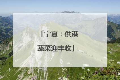 宁夏：供港蔬菜迎丰收