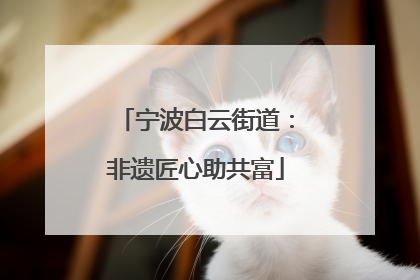 宁波白云街道：非遗匠心助共富