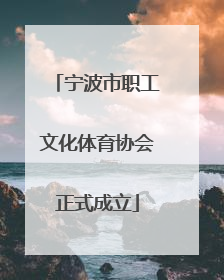 宁波市职工文化体育协会正式成立