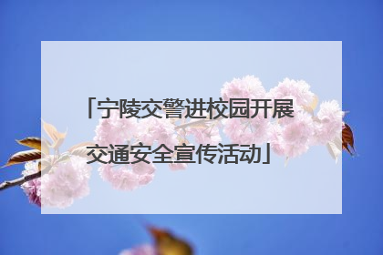 宁陵交警进校园开展交通安全宣传活动