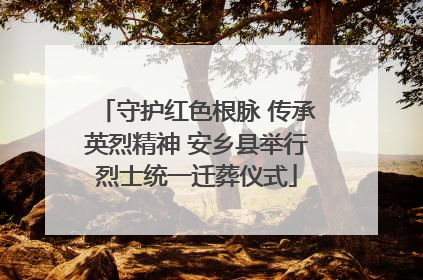守护红色根脉 传承英烈精神 安乡县举行烈士统一迁葬仪式