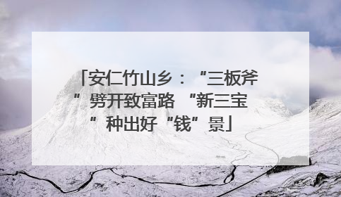 安仁竹山乡：“三板斧”劈开致富路 “新三宝”种出好“钱”景
