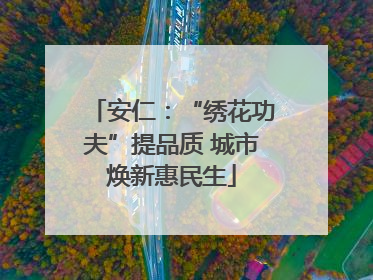 安仁：“绣花功夫”提品质 城市焕新惠民生