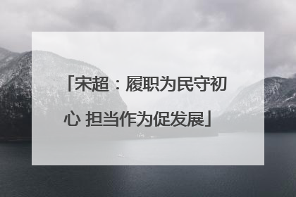 宋超：履职为民守初心 担当作为促发展