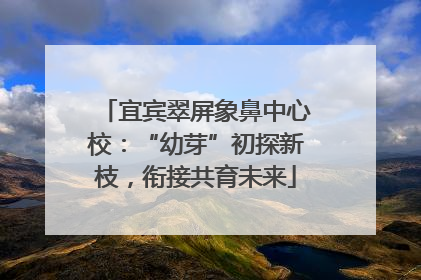 宜宾翠屏象鼻中心校：“幼芽”初探新枝，衔接共育未来