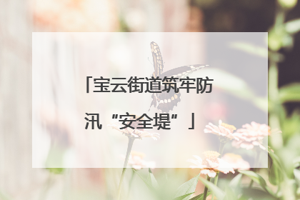 宝云街道筑牢防汛“安全堤”