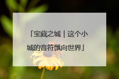 宝藏之城｜这个小城的音符飘向世界