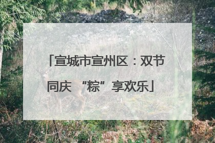 宣城市宣州区：双节同庆 “粽”享欢乐