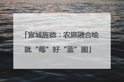 宣城旌德：农旅融合绘就“莓”好“蓝”图