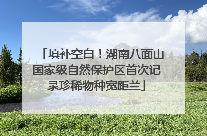 填补空白！湖南八面山国家级自然保护区首次记录珍稀物种宽距兰