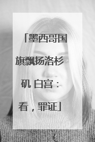 墨西哥国旗飘扬洛杉矶 白宫：看，罪证