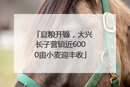 夏粮开镰，大兴长子营镇近6000亩小麦迎丰收