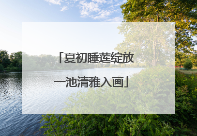夏初睡莲绽放 一池清雅入画