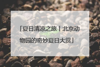 夏日清凉之旅丨北京动物园的奇妙夏日大赏