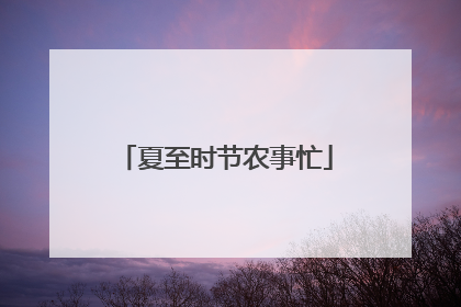夏至时节农事忙