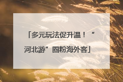 多元玩法促升温！“河北游”圈粉海外客