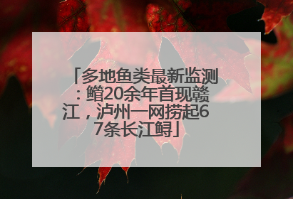 多地鱼类最新监测：鳤20余年首现赣江，泸州一网捞起67条长江鲟