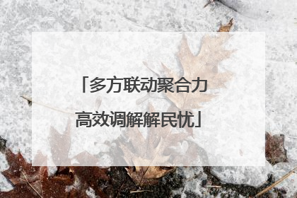 多方联动聚合力 高效调解解民忧