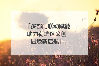 多部门联动赋能 助力荷塘区文创园焕新启航