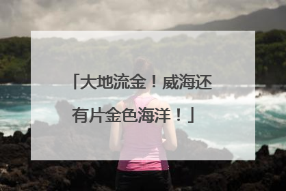 大地流金！威海还有片金色海洋！