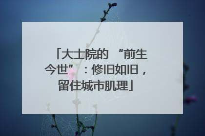 大士院的 “前生今世”：修旧如旧，留住城市肌理