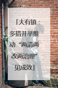 大有镇：多措并举推动“两清两改两治理”见成效