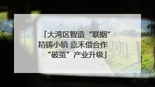 大湾区智造“联姻”精铸小镇 嘉禾借合作“破茧”产业升级
