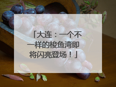 大连：一个不一样的梭鱼湾即将闪亮登场！