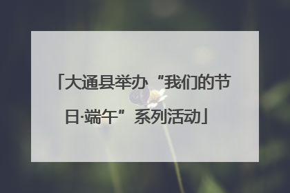 大通县举办“我们的节日·端午”系列活动